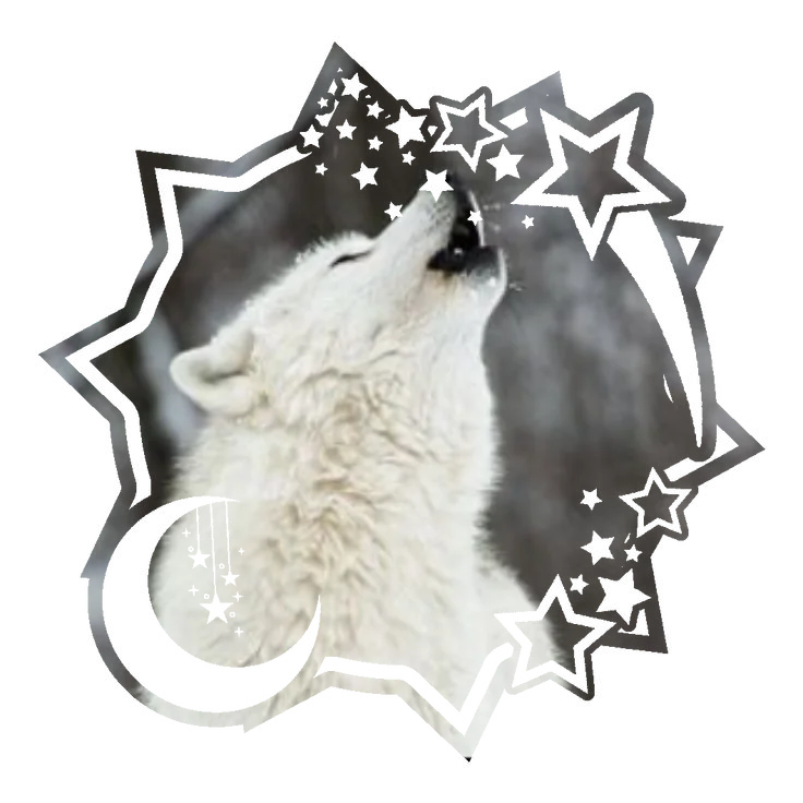 Asset